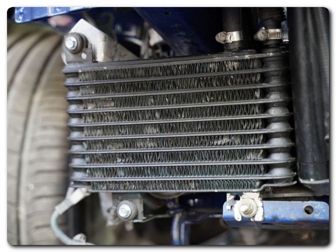 Car Mechanics in the UAE 2025